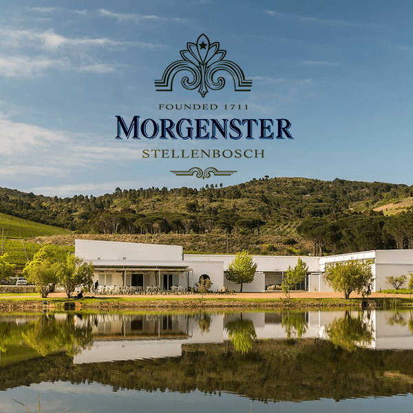 Morgenster - Cape & Grapes