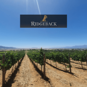 Capeandgrapes wijndomein Ridgeback