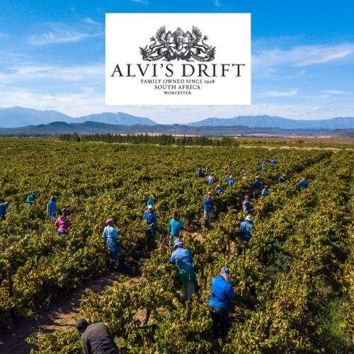 Alvi's Drift Capeandgrapes