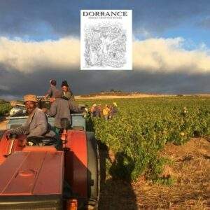 Wijndomein Dorrance Capeandgrapes